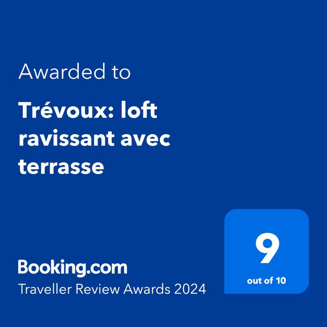 Trevoux: Loft Ravissant Avec Terrasse Διαμέρισμα Εξωτερικό φωτογραφία
